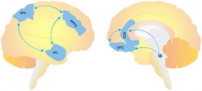 Agitation and Dementia: Prevention and Treatment Strategies in Acute and Chronic Conditions